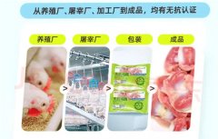 <b>这是“小钢人代空气炸锅推出的布景</b>